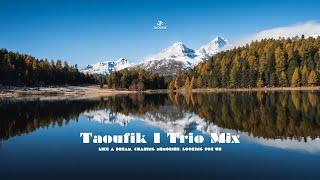 Trio Mix By @TaoufikOfficiel  I Like A Dream, Chasing Memories, Looking For Us  I Made In Morocco🇲🇦
