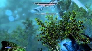 Skyrim recording with artifacting