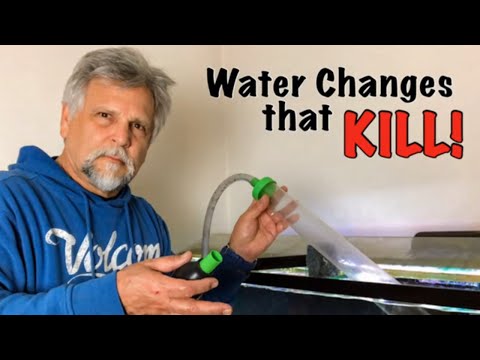 Water Changes and Tank Stability - (Filter Media Makers are Going to Hate Me!)