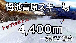 栂池高原  4400mを一気に滑るトップtoボトム  1/6, 2021