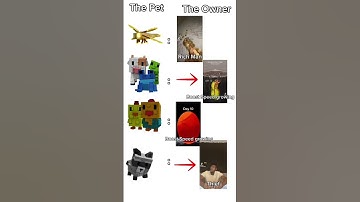 Grow a garden belike: #growagardenroblox  #roblox  #belike  #raccoon  #dragonfly  #foryou