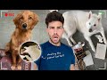 Which Puppy DESTROYED My House?! (hidden cam)