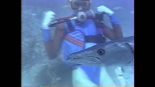 Female Scuba Diver And Barracuda 1990S