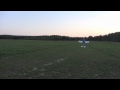 EF Extra 300 78&quot; Star City RC field