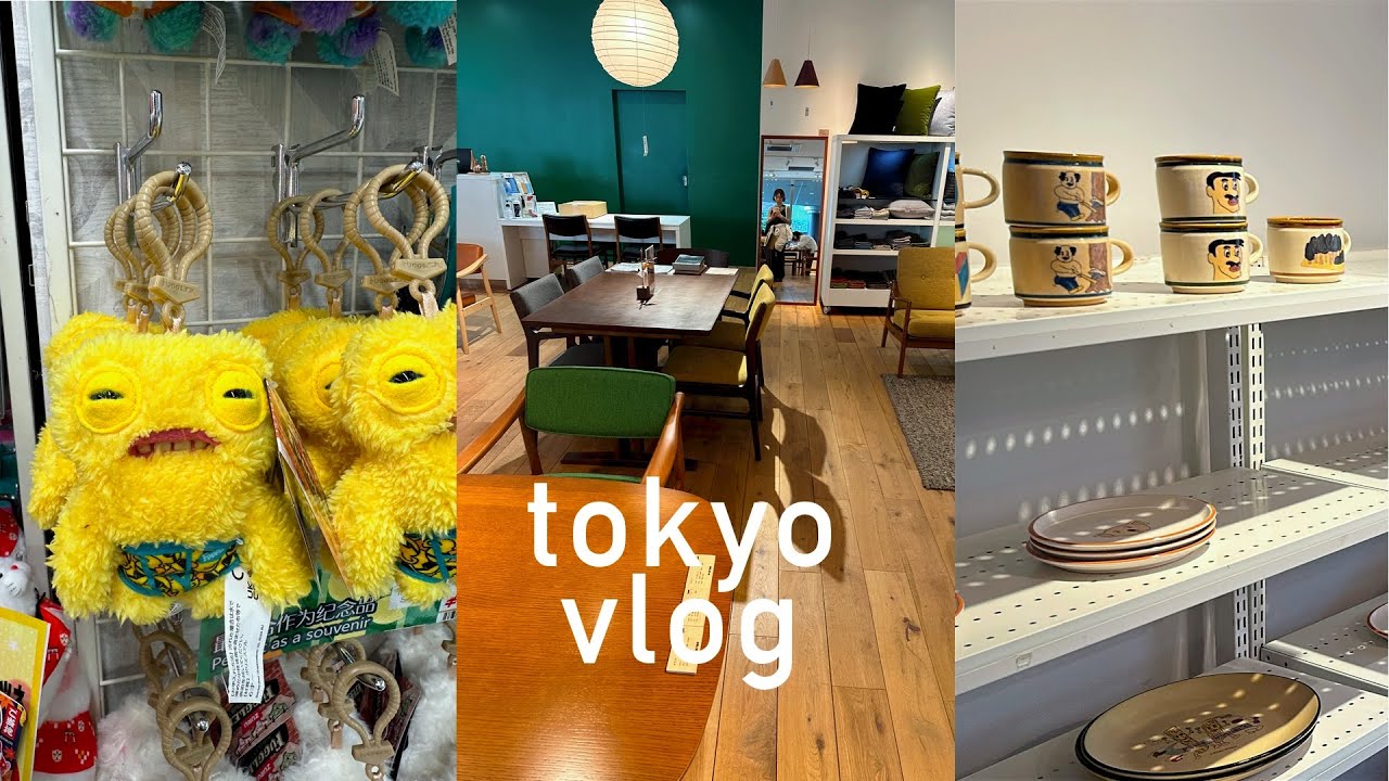 워홀 안받아주는 나이라서 스터디홀리데이가는 브이로그