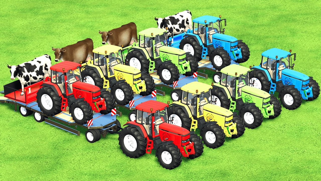 LOAD & TRANSPORTING GIANT COWS WITH JOHN DEERE TRACTORS Farming