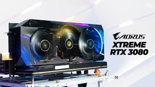 AORUS XTREME RTX 3080: Windows & Linux Tested!