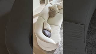 Award-Winning Sofa Design | NIMBO Wins the iF DESIGN AWARD 2026