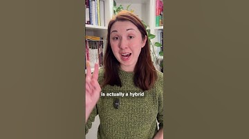 Corn’s Wild Origins: From Grass to Feast