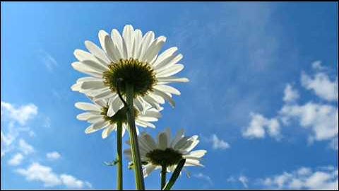 اجمل تلاوة خاشعة لسورة الفاتحة محمد صلاح