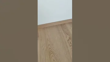Rabbert Gets Electrocuted 