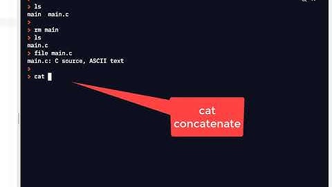 C Programming Skills Using Replit: CLI Intro