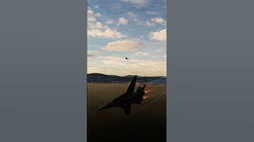 #shorts #DCS Dogfights The most annoying type of player