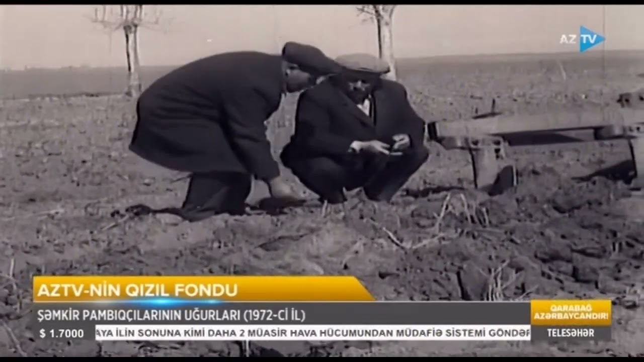 Şəmkir pambıqçılarının uğurları (1972-ci il) - AzTV-nin Qızıl Fondu...