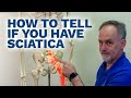 How can you tell if you have Sciatica?  Check out 2 easy tests to tell if you have Sciatica at home