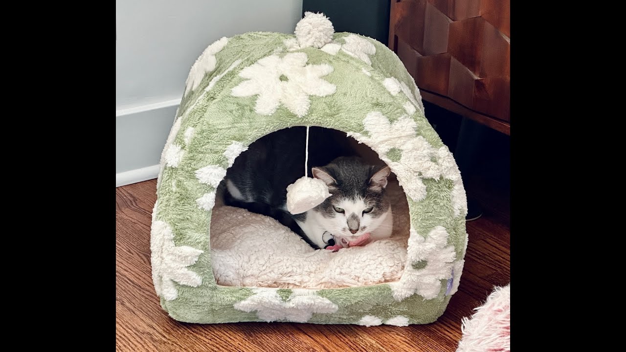 LeSure Cat Cave Bed – Best Cozy Hideaway for Cats, Kittens, Small Dogs & Puppies