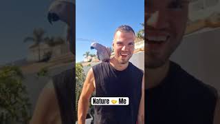 High Vibrations Attracts Animals To You