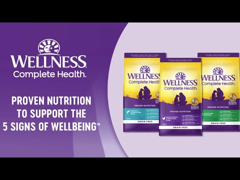 Wellness Complete Health Grain Free Dog Food