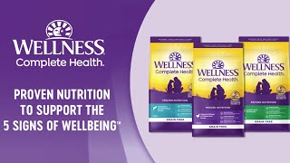 Complete Health Grain Free Dog Food Wellness Pet
