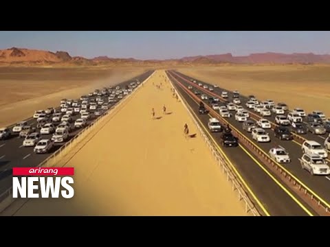 Qatar camel racing: FIFA fans head to the track