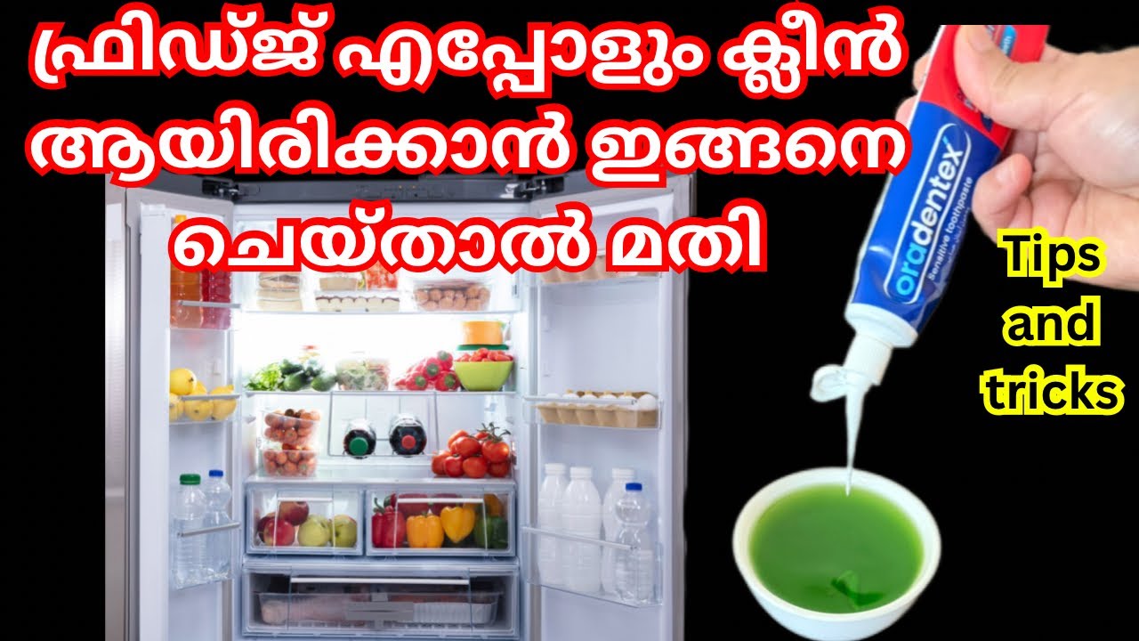 എത്ര അഴുക്കുപിടിച്ച ഫ്രിഡ്‌ജും പുതിയതുപോലെയാക്കാൻ ഈ ഒരു സൂത്രം മതി Fridge Cleaning Organization tips