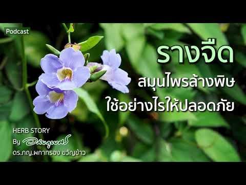 วีดีโอ: เถ้าในครัวเรือน - ใช้อย่างไร?