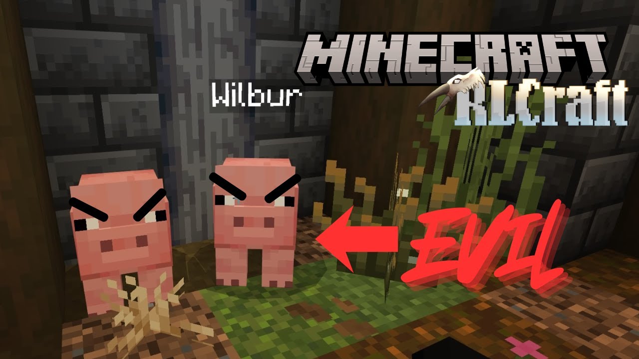 Starting A New build Minecraft RL Craft - YouTube