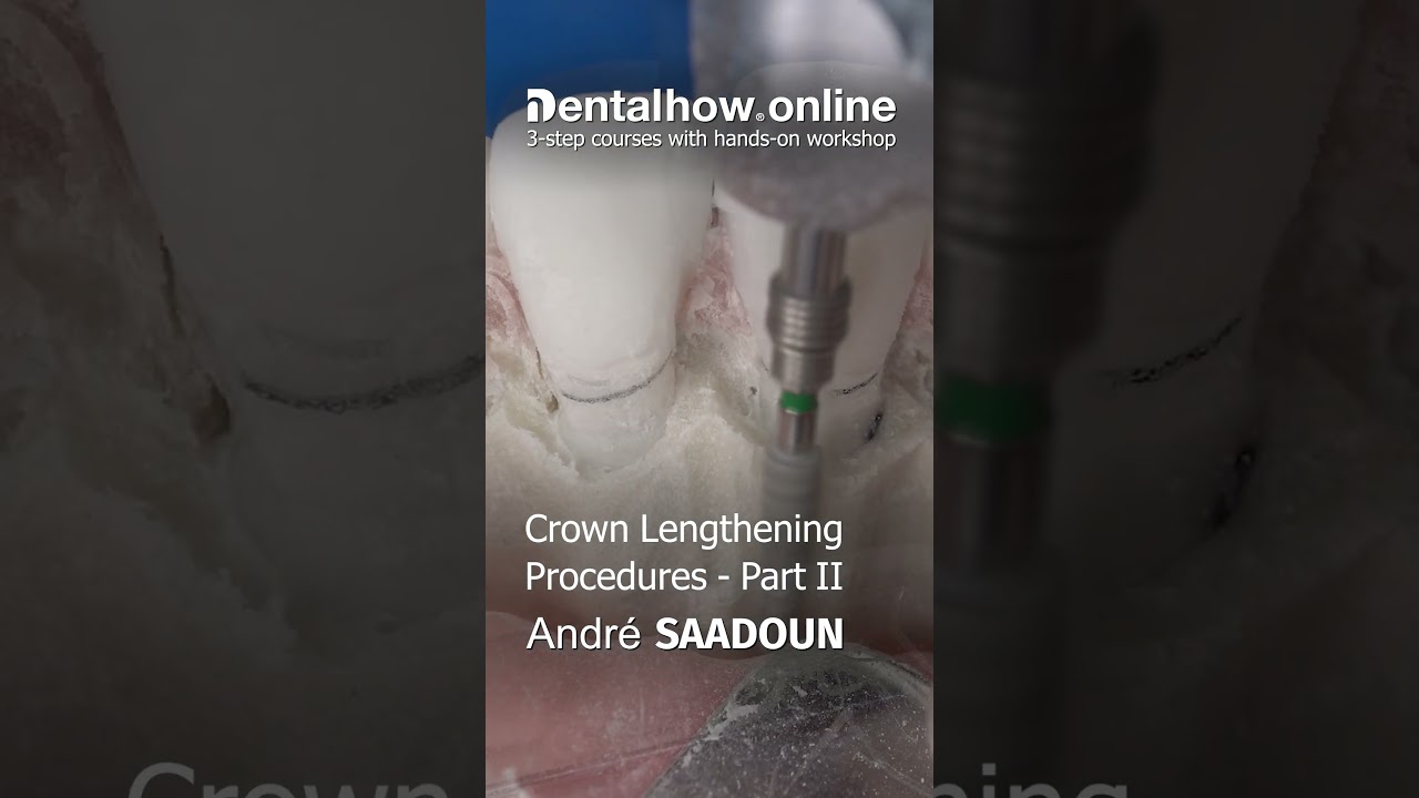 Dr. André Saadoun | Online Course 2023  