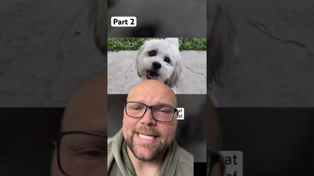 THE INTERNET IS MAD AT THIS POLICE OFFICER FOR ENDING THE LIFE OF A BLIND AND DEAF DOG😢😡