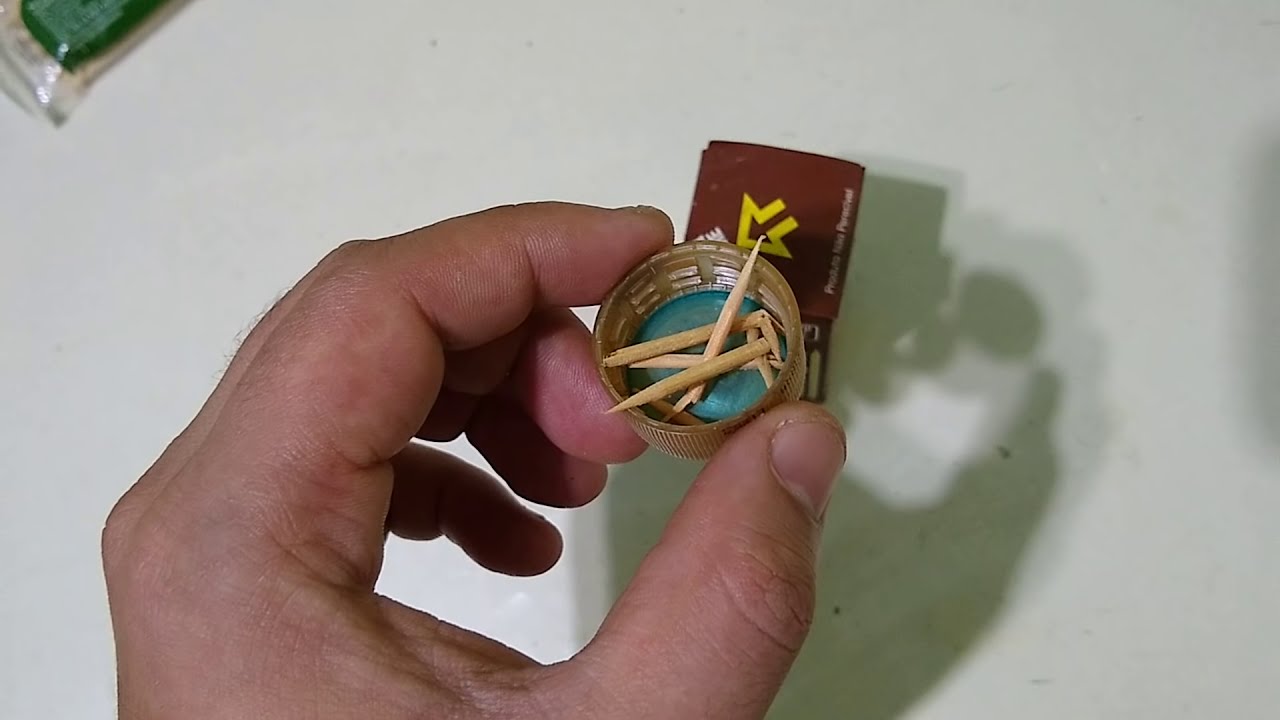 Como eu alimento as abelhas Jataí