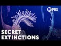 The Huge Extinctions We Are Just Now Discovering