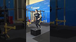 Sprinter Step Up