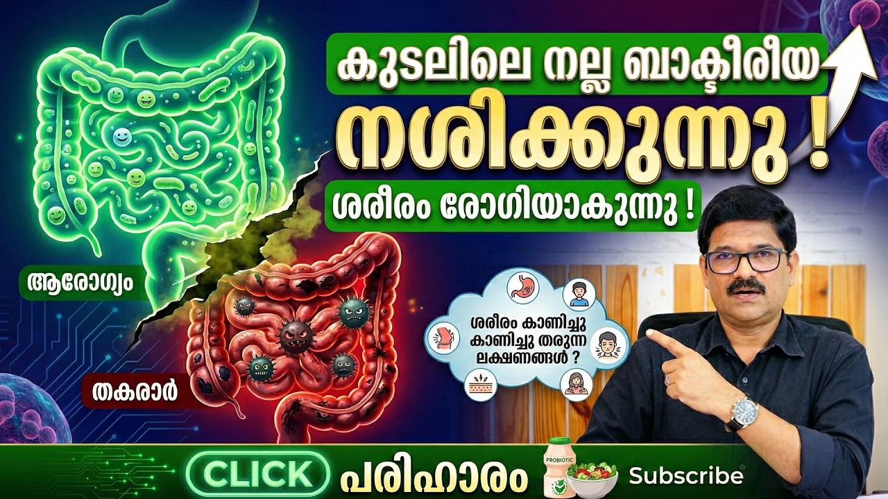 കുടലിലെ നല്ല ബാക്ടരീയ നശിക്കുന്നു ! ശരീരം രോഗിയാകുന്നു ! ശരീരം കാണിച്ചു തരുന്ന ലക്ഷണങ്ങൾ ? പരിഹാരം