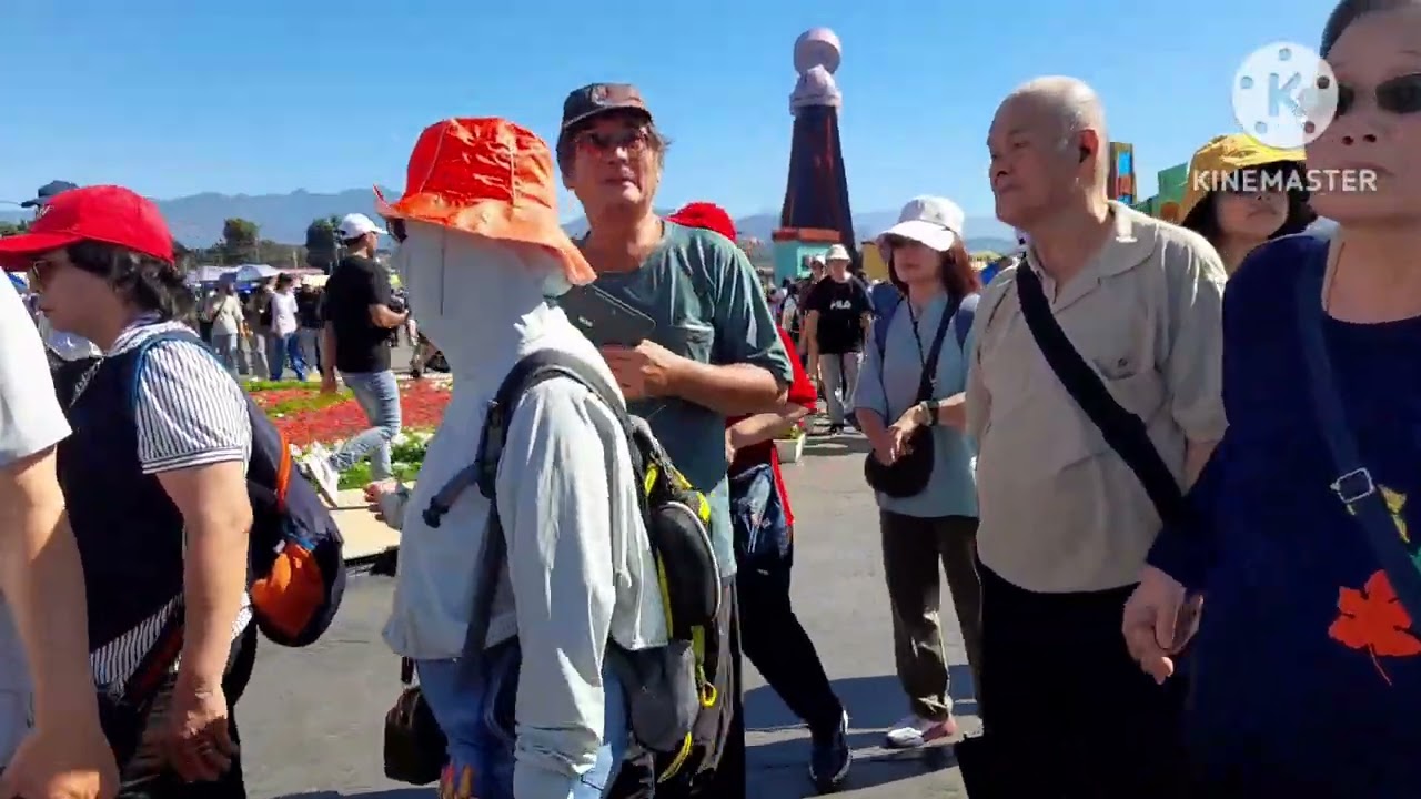 Liburan lihat taman bunga segar 2025 taichung shince