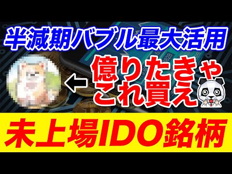 【半減期】「ビットコインよりもいい投資先は？」←半減期バブルで稼ぐなら〇〇系のIDO銘柄一択！【仮想通貨】