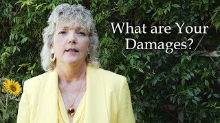 What Are Your Damages?
