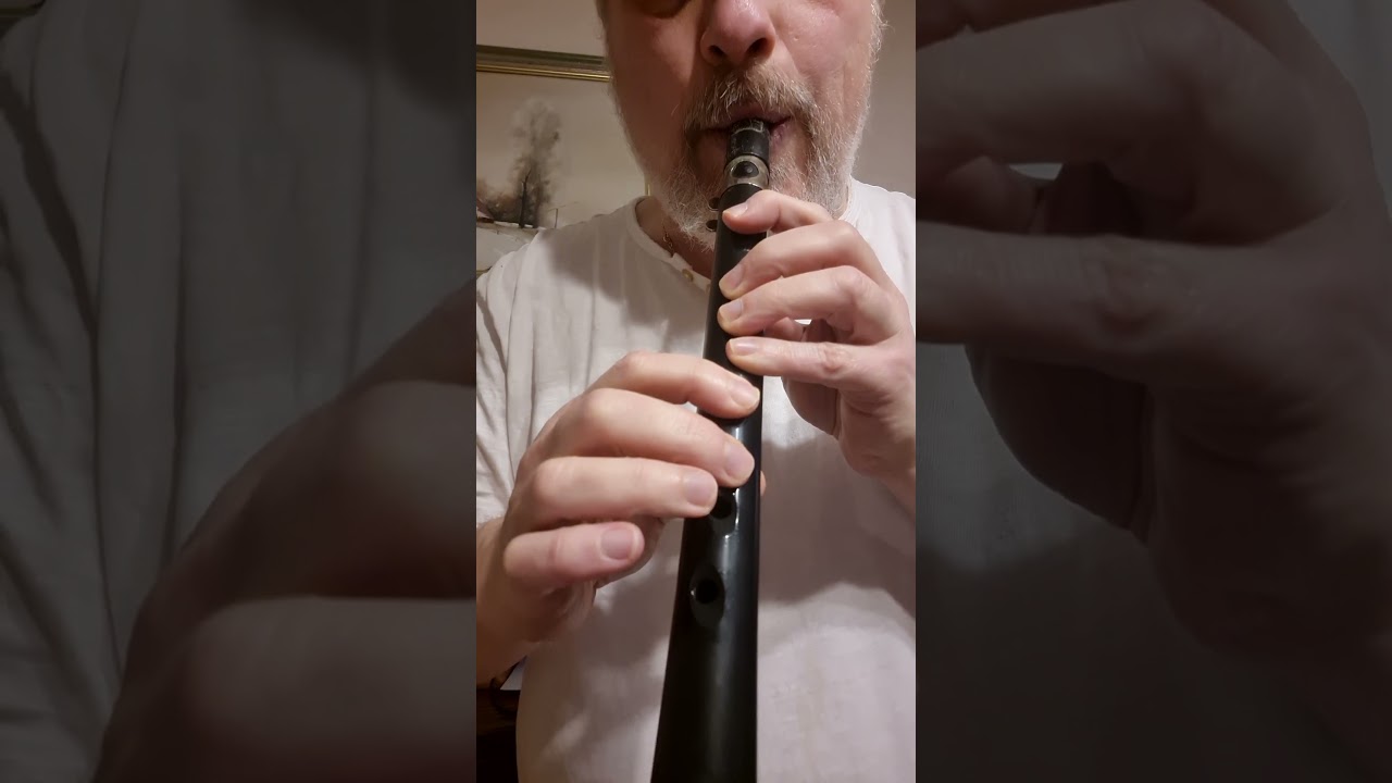 Ana 'Ava Babanot classik Xaphoon online Kurs für Erwachsene und Anfänger 2026