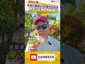 「召喚巴威撲向台灣」？尬電信徒狂言 廖大乙批：假借神威恐嚇