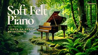 Soft Felt Piano by the Forest Stream – 1 Hour of Gentle Relaxation screenshot 5