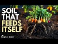 Your Garden Soil Is Weak… Do THIS to Make It Explosive