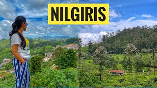 BEST OF NILGIRIS | UNEXPLORED PLACES IN KOTAGIRI, NILGIRIS | KOTAGIRI TRIP | தமிழ் TRAVEL VLOG