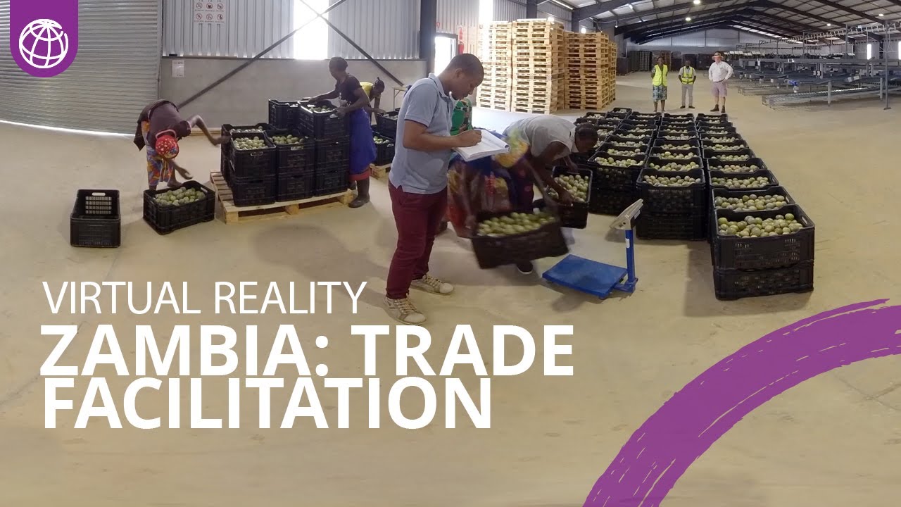 Zambia: Diversifying the Economy Through Trade Facilitation Reform | Virtual Reality 360° Video