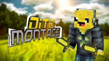 OITC Montage #1