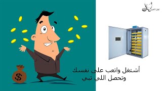 فقاسة لكل أنواع البيض هاتشر عون المربي