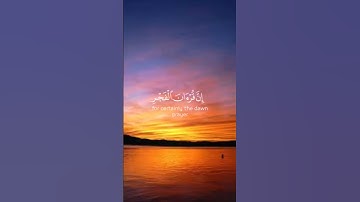 تلاوة بصوت الشيخ فارس عباد🌟