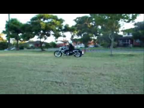 Silvertail blackjack sound