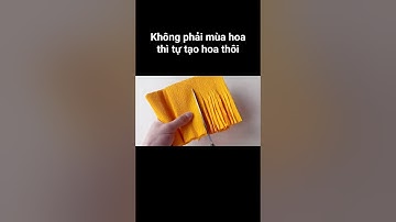 Làm hoa cúc siu to bằng giấy