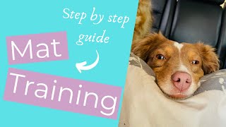 How to Calm Down a Dog with Dog Mat Training //THE KIND CANINE