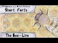 The Bee-Line [Kruggsmash Plays Dwarf Fortress]