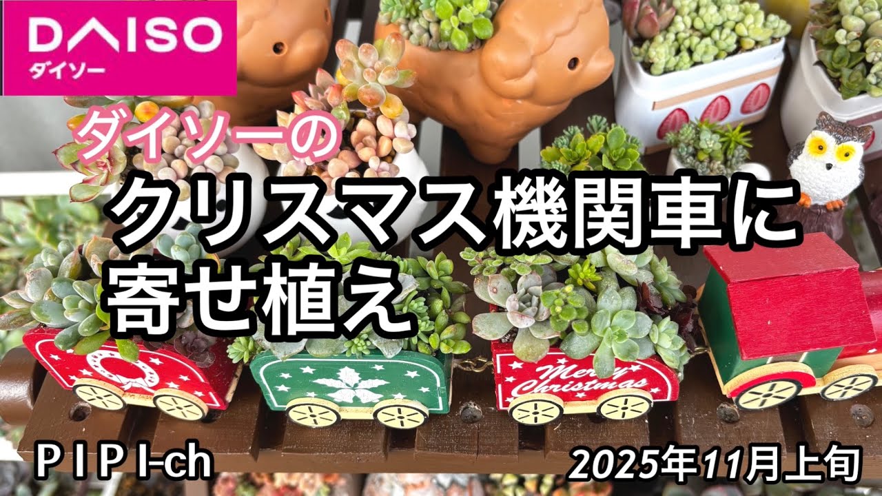 ❤️専用❤️多肉植物❤️そのまま飾れる寄せ植え❤️クリスマス機関車~❤️ ダイソーのクリスマス機関車に寄せ植えをしました😊[多肉植物] - YouTube